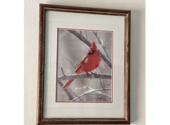 Thomas D. Mangelson Framed Cardinal Signed And Numbered.