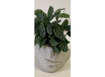 Fabulous Face Planter  From Nina Studio From Quakertown,  PA