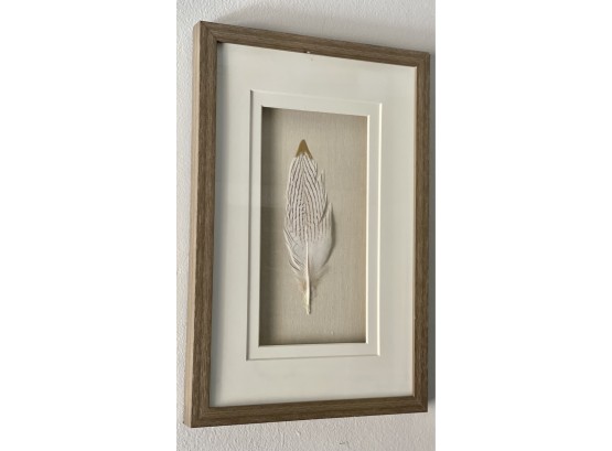 Framed Feather With Gold Accents.