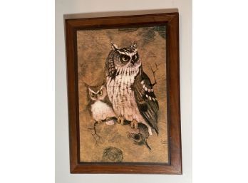 Vintage 'Screech ' Owl  On Wood Frame