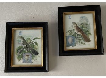 Charming Framed Bird Prints, Set Of 2