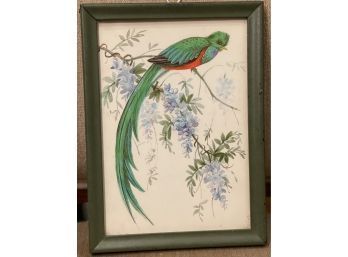 Vibrant Vintage Framed Tropical Bird Art Piece