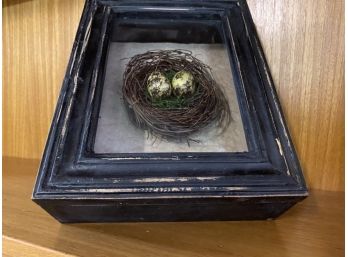 Egg Nest Shadow Box