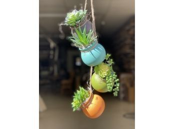 Four Colorful Hanging Vessels With Potted Succulents