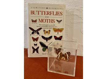 Butterflies & Moths Book And Butterfly In Acrylic 3D Case