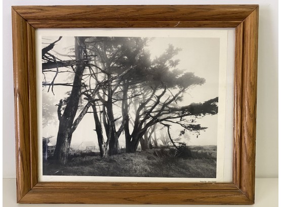 Vintage John Fielder Framed Black And White Photograph 11x13