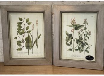 Uttermost Framed Botanicals (Set Of 2), Lovely Frame, 16 X 20 Each