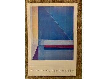 Dallas Museum Of Art Framed With Plexiglass Wall Art Approx. 42 X 27 Inches