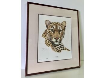 Jim Oliver Signed & Numbered  Leopard Art  27.5 X 24