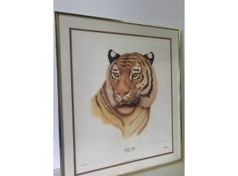 Signed & Numbered Bengal Tiger Art By Jim Oliver  28 X 24