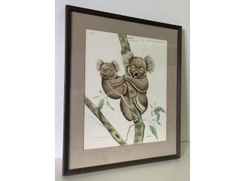 Koalas Art Signed & Numbered By Artist Jim Oliver  26 X 21