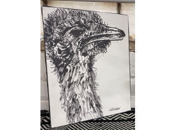 Bold Black And White Ostrich Print, With Artist Signature, 12 X 15.5