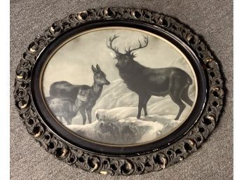 Fabulous Black And White Old Print Of Elk In Great Frame Approx.   27 X 22.5 Inches