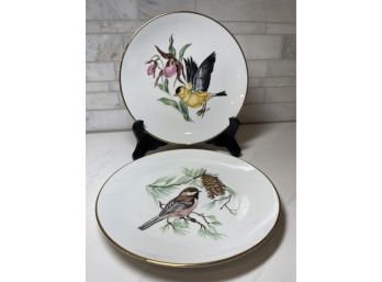 Colorful Collectible Bird Plates,Bavaria Schumann Arzberg Germany Set Of 2.   # 19, #35