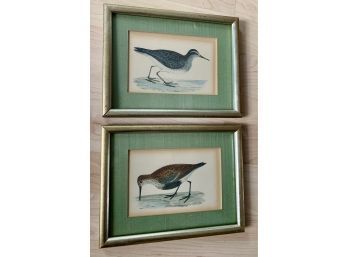 Set Of Framed Birds Approx. 7 X 8.5 Inches