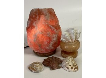 Xtra Large Salt Rock Lamp And Vintage Nightlight With Shells