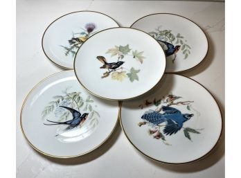 Vintage Collectible Hutschenreuther Gelb John James Audubon Bird Plates .
