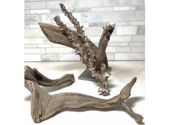 Wildly Organic And Sculptural- Driftwood And Coral
