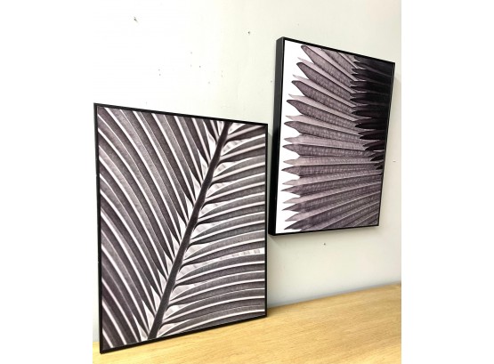 Set Of 2 Blk And White Palm Pictures.  Graphic And Bold