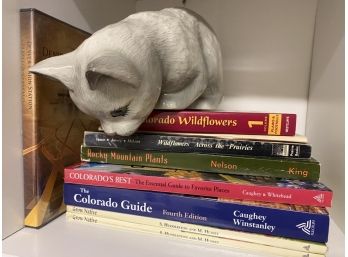 Ceramic Cat And Colorado Wildflower And Plant Books