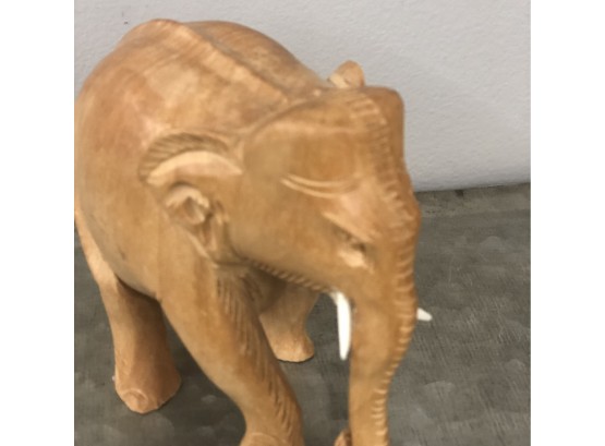 Small Carved Elephant With Tusks In Tact!!!