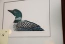 Lot 256  - LOON ART SIGNED