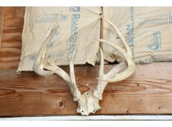 DEER ANTLERS - BUYER TO REMOVE FROM WALL