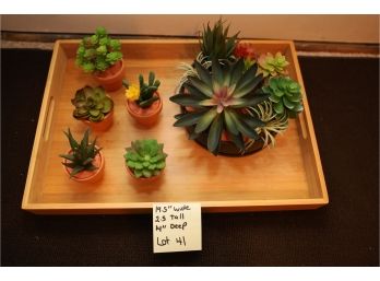 Succulent Decor (not Real) And Wooden Tray