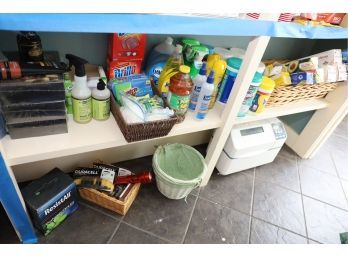 ITEMS IN PANTRY  BOTTOM WITHIN BLUE LINES AS SHOWN -