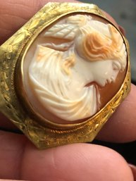 Shell Cameo In 12k