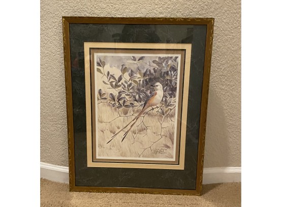 David Plank Artists Proof Fine Art Nature Framed Bird Picture