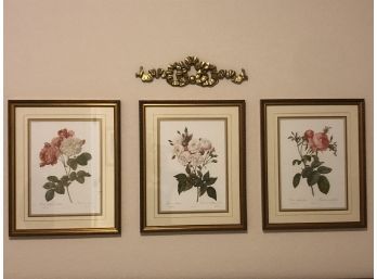 Floral Framed Art Prints