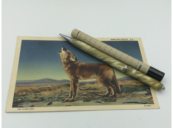 Lead Filled Vintage Pencil And Post Card