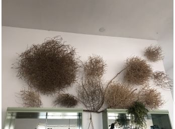 COLLECTION OF COLORADO TUMBLE WEEDS