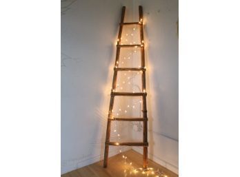 LADDER WITH LIGHTS