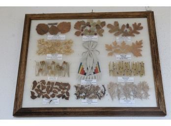 FRAMED NATIVE MEDICINAL HERBS AND POUCH