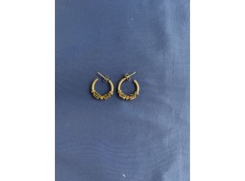 Sterling Loop Earrings