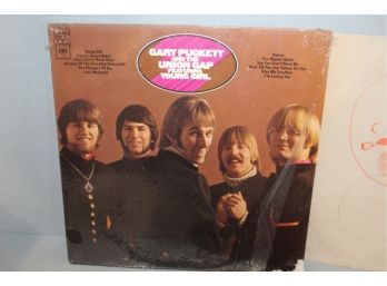 Gary Puckett And The Union Gap Featuring - Young Girl
