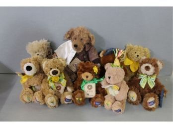 Boyd's Bear Special Edition Bear Lot 9 Pieces Including American Heart Association Bear