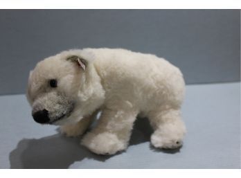 Steiff Polar Bear With Button And White Tag