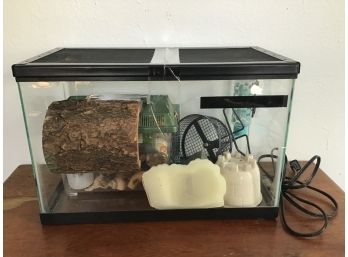 Glass Terrarium With Many Other Items