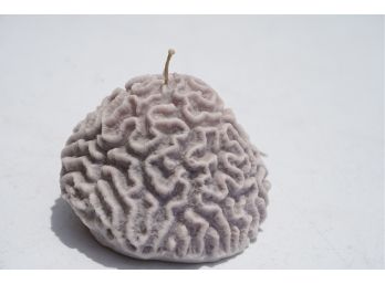 BRAIN CORAL CANDLE, 3IN HEIGHT
