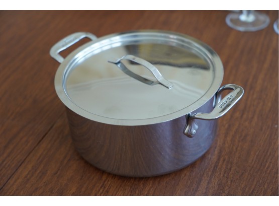 ALL-CLAD POT WITH LID, 9X4 INCHES