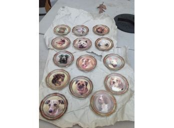 14 Fine English China Dog Plates