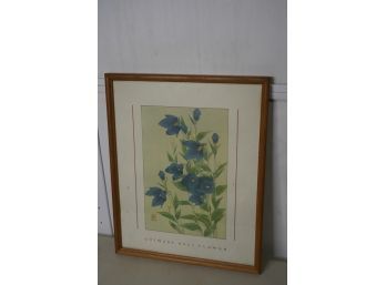 CHINESE BELL FLOWERS PRINT, 21X17 INCHES