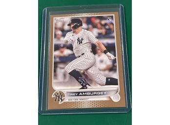 2022 Topps Series 1 Baseball- Trey Amburgey Gold Parallel 1795/2022 New York Yankees