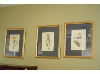 LOT OF 3 PRINTS OF FLOWERS IN A GOLD FRAME 15X18 INCHES