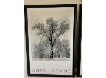 PRINT POSTER BY ANSEL ADAMS 26.5X38.5 INCHES