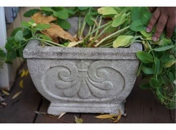GREAT CONDITION CEMENT OUTDOOR PLANTER