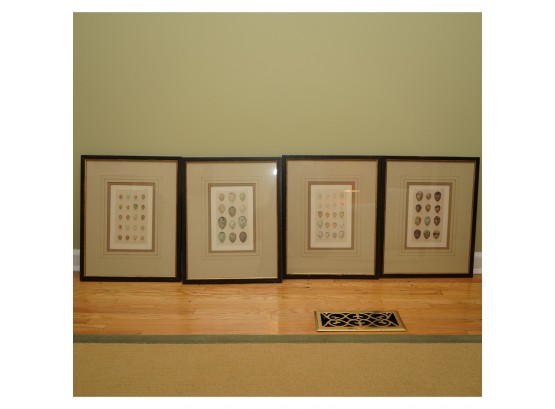 Lot Of 4 Chinese Egg Prints